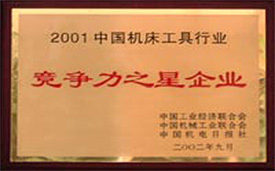 2001競(jìng)爭(zhēng)力之星.jpg